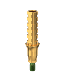 Casting & Temporary Abutments ConiPro 