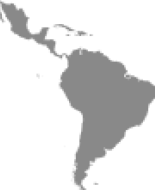 Latine America flag